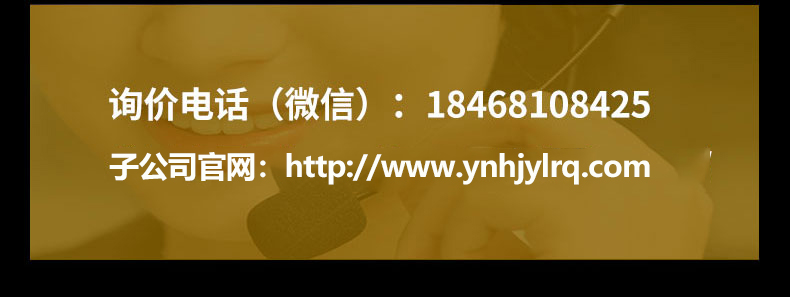 DMO精制塔_12.jpg